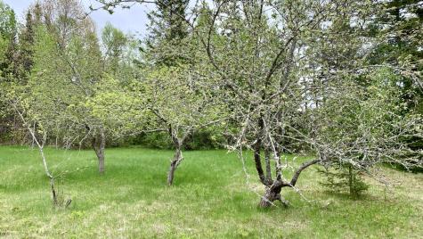 191 Route 191 N Route Cathance Twp ME 04630