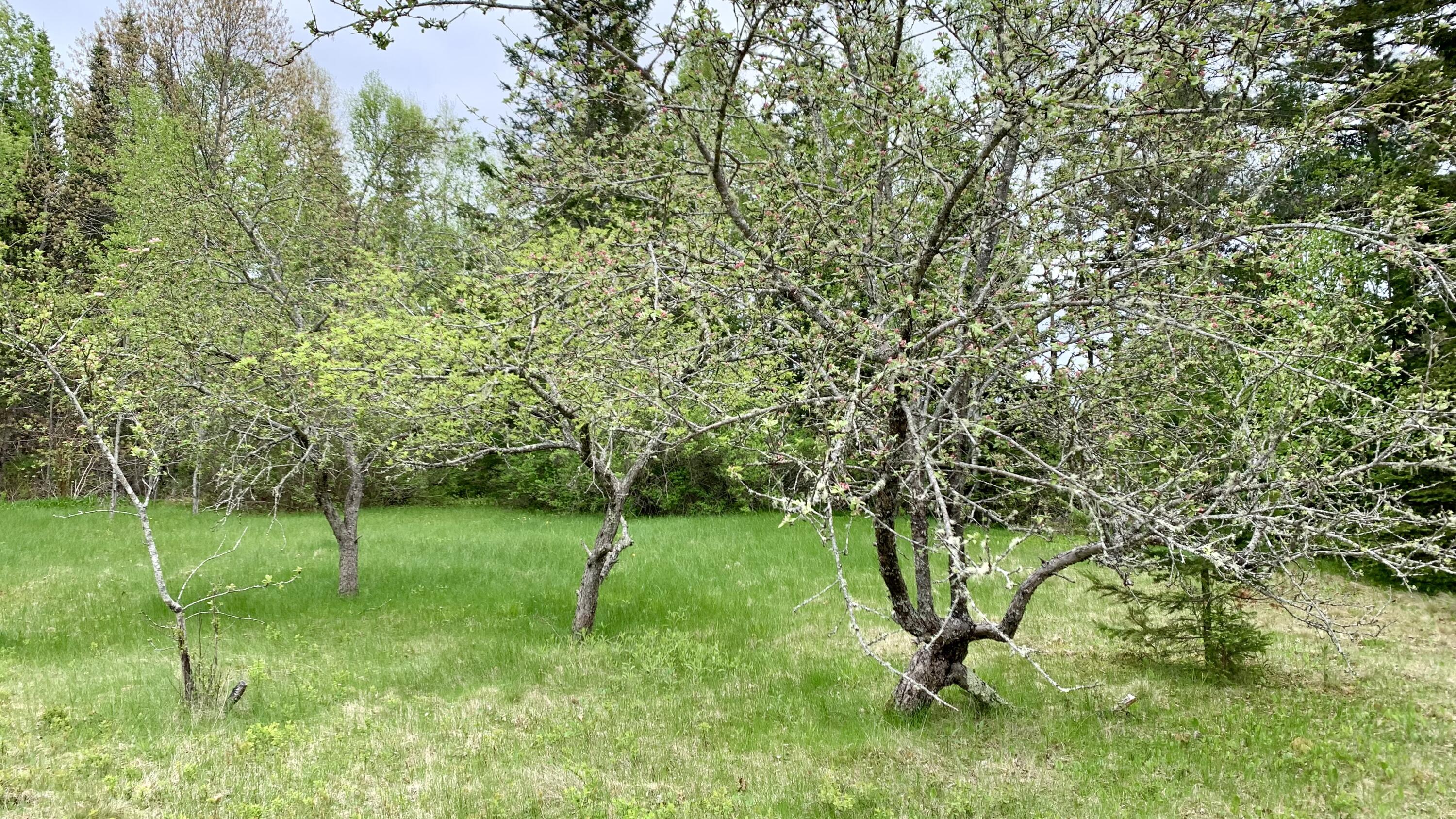 191 Route 191 N Route Cathance Twp ME 04630