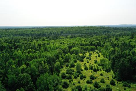 191 Route 191 N Route Cathance Twp ME 04630