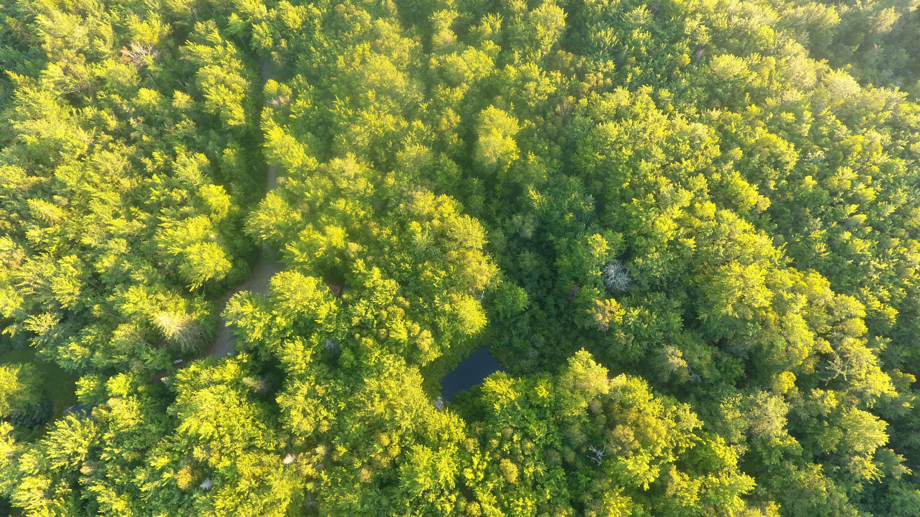 1020 E East Side Road Addison ME 04606