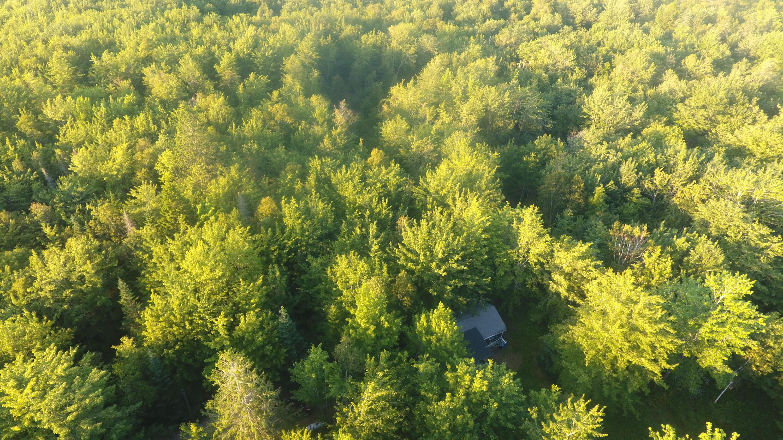 1020 E East Side Road Addison ME 04606