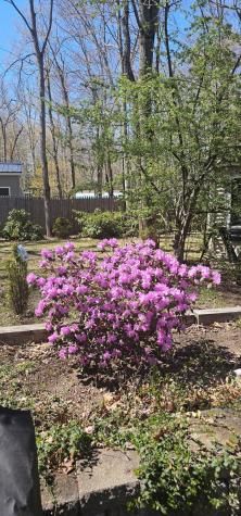 392 High Street Sanford ME 04073