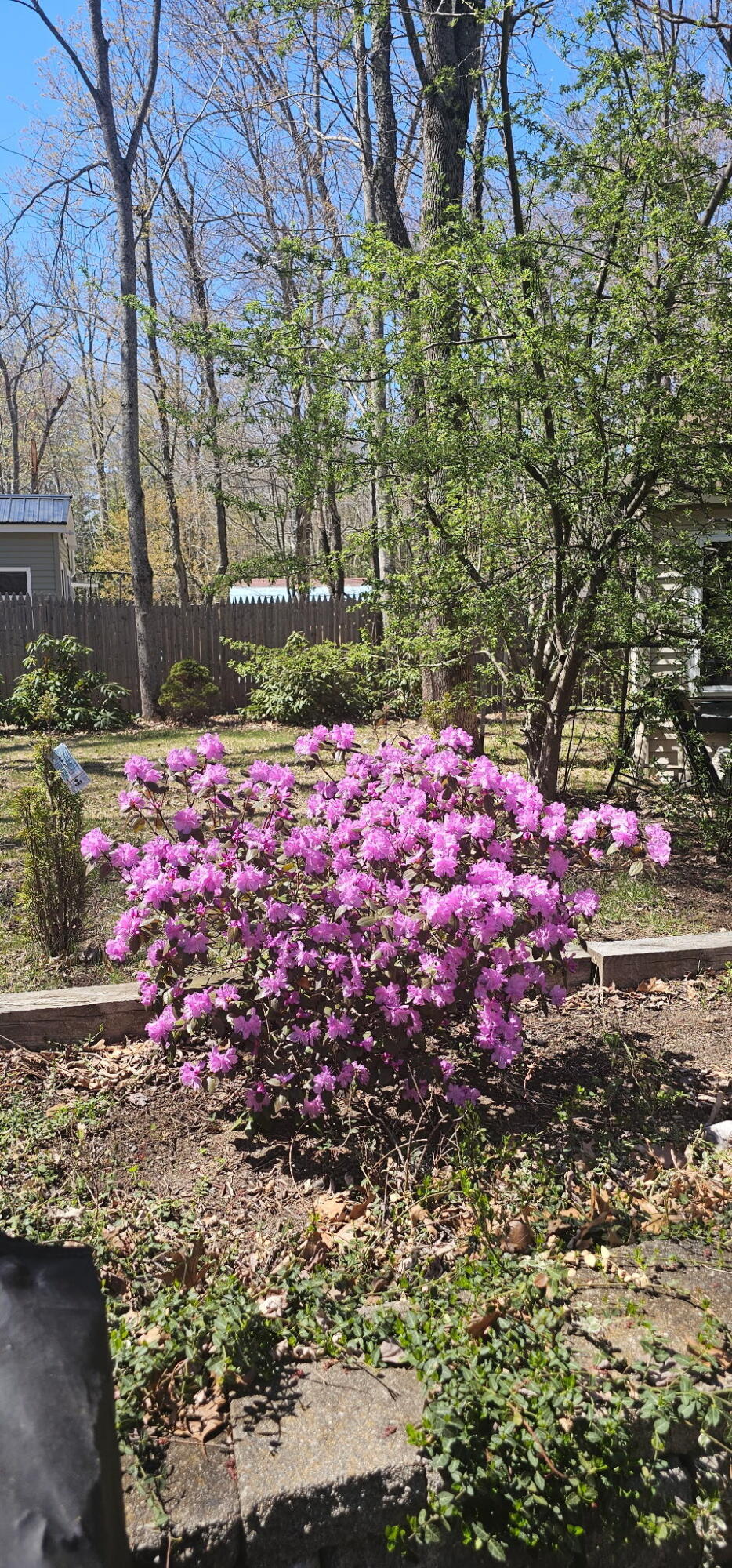 392 High Street Sanford ME 04073