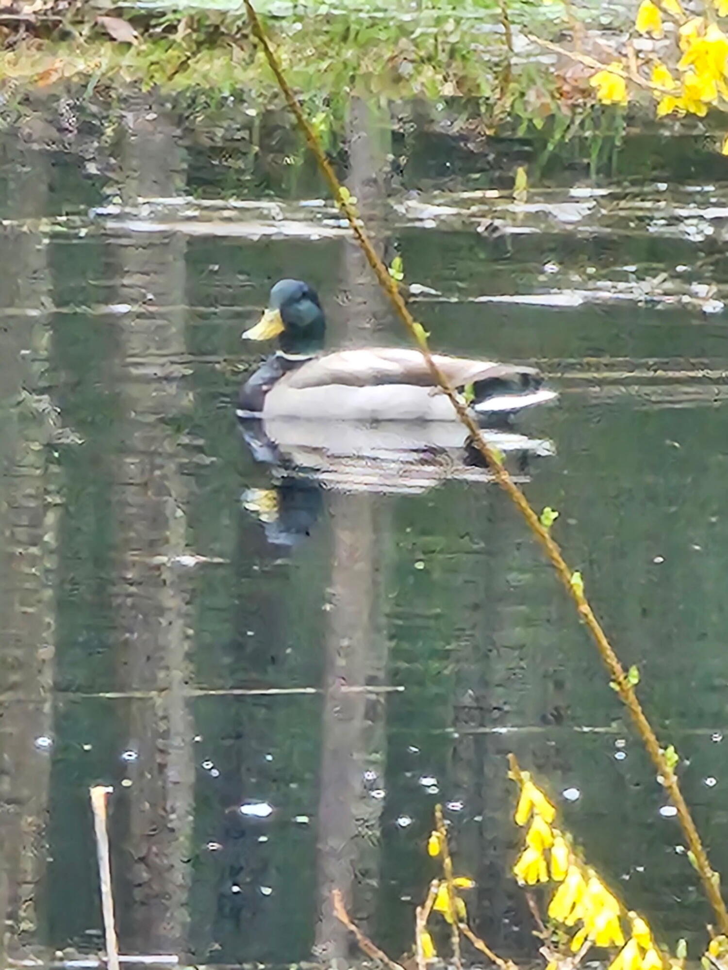 392 High Street Sanford ME 04073