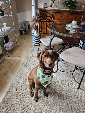 392 High Street Sanford ME 04073