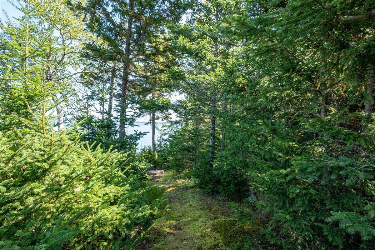 1591 Turtle Head Road Islesboro ME 04848