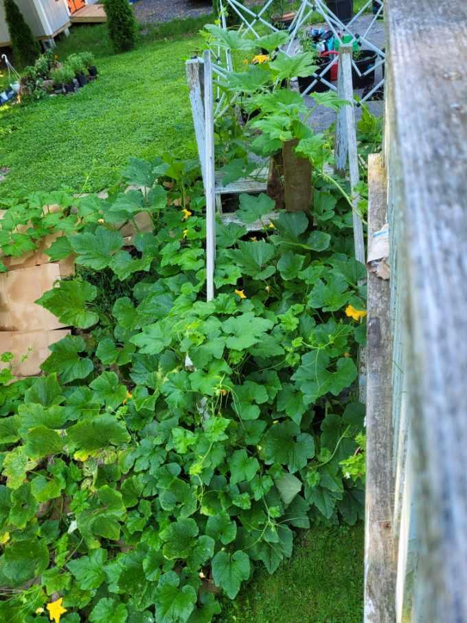 177 Middle Street Bath ME 04530