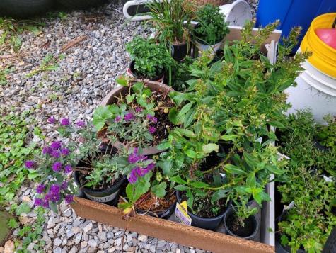 177 Middle Street Bath ME 04530