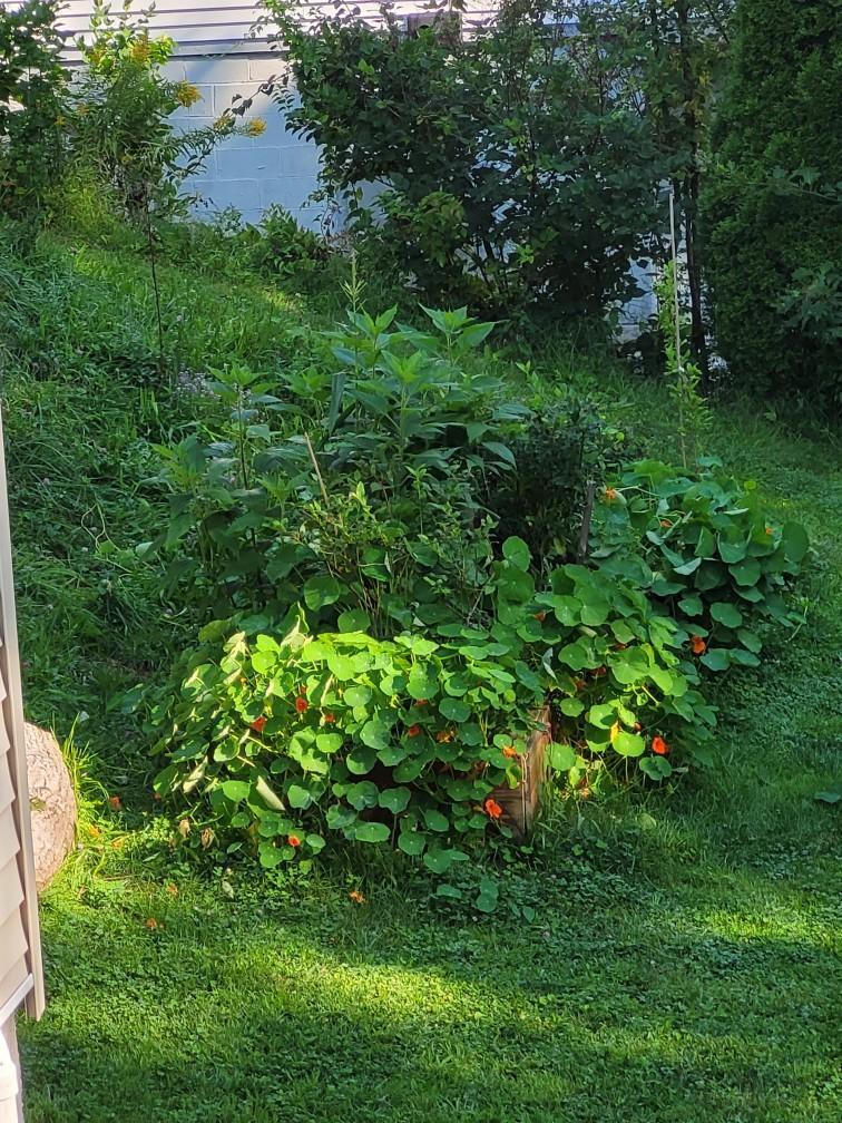 177 Middle Street Bath ME 04530