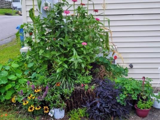 177 Middle Street Bath ME 04530