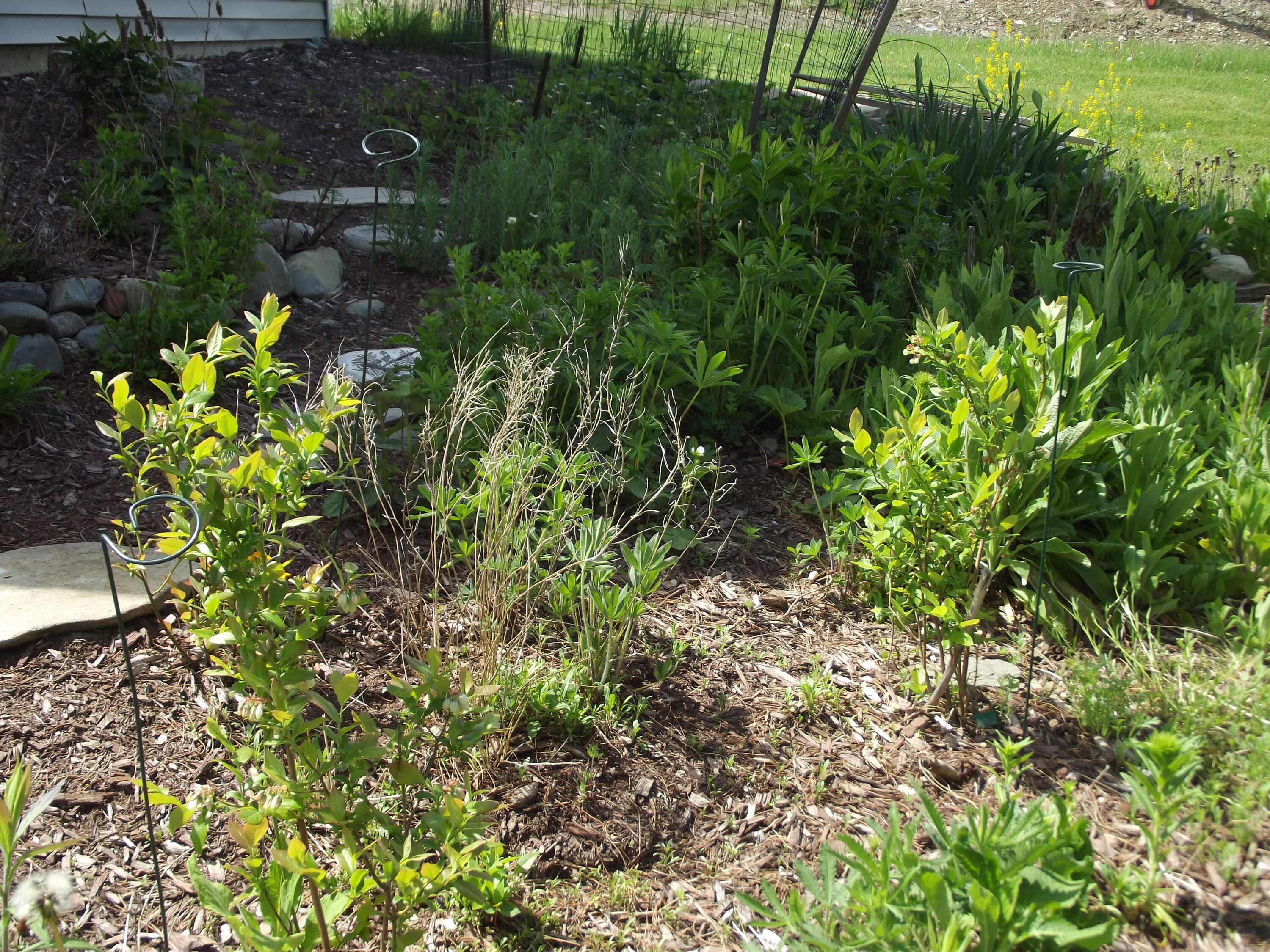 225 Skowhegan Fairfield ME 04937
