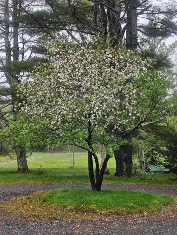 384 Point Road Hancock ME 04640