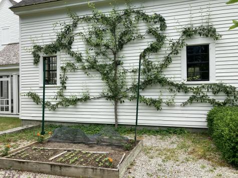 384 Point Road Hancock ME 04640