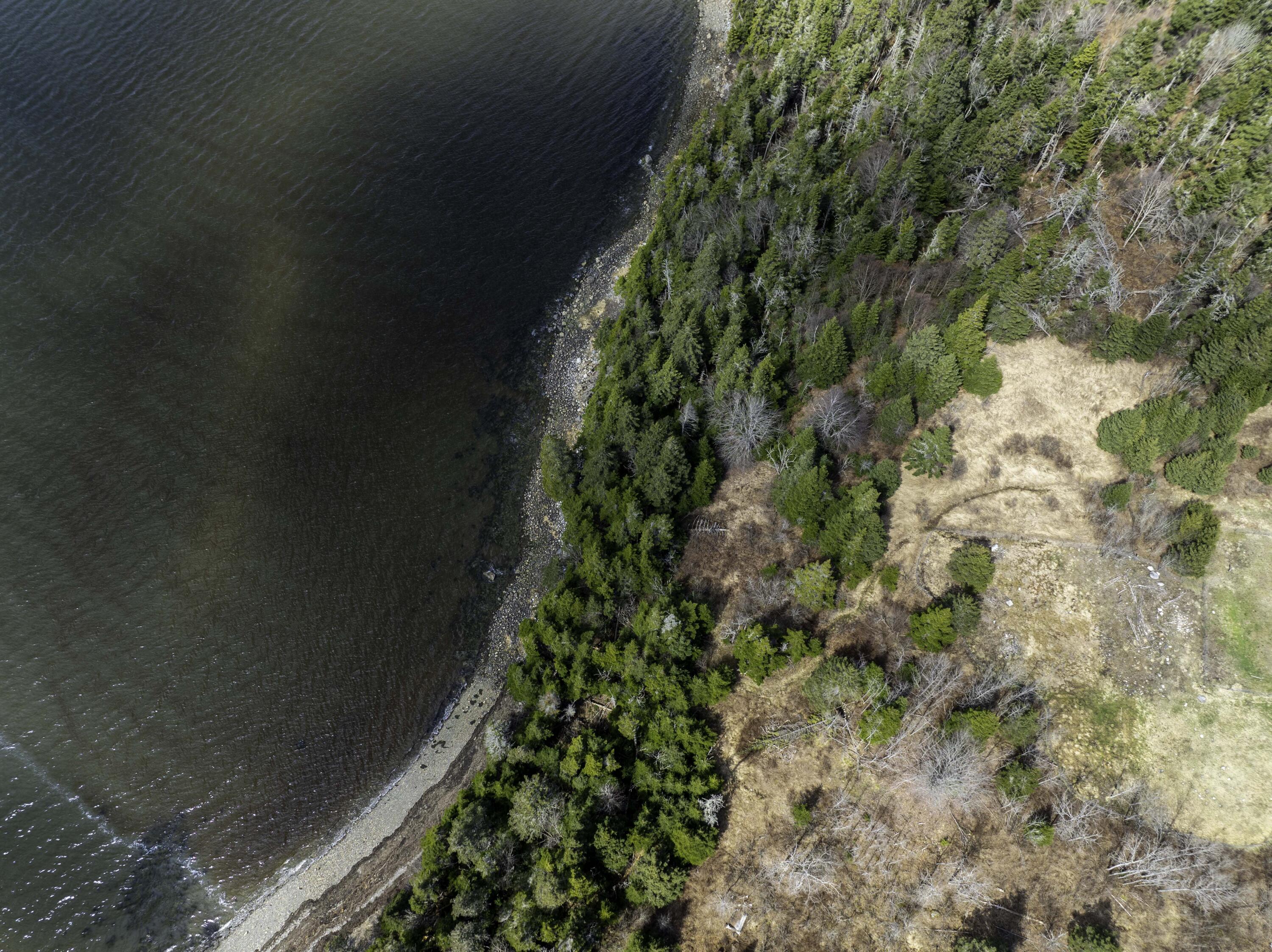 99 Little Machias Road Cutler ME 04626