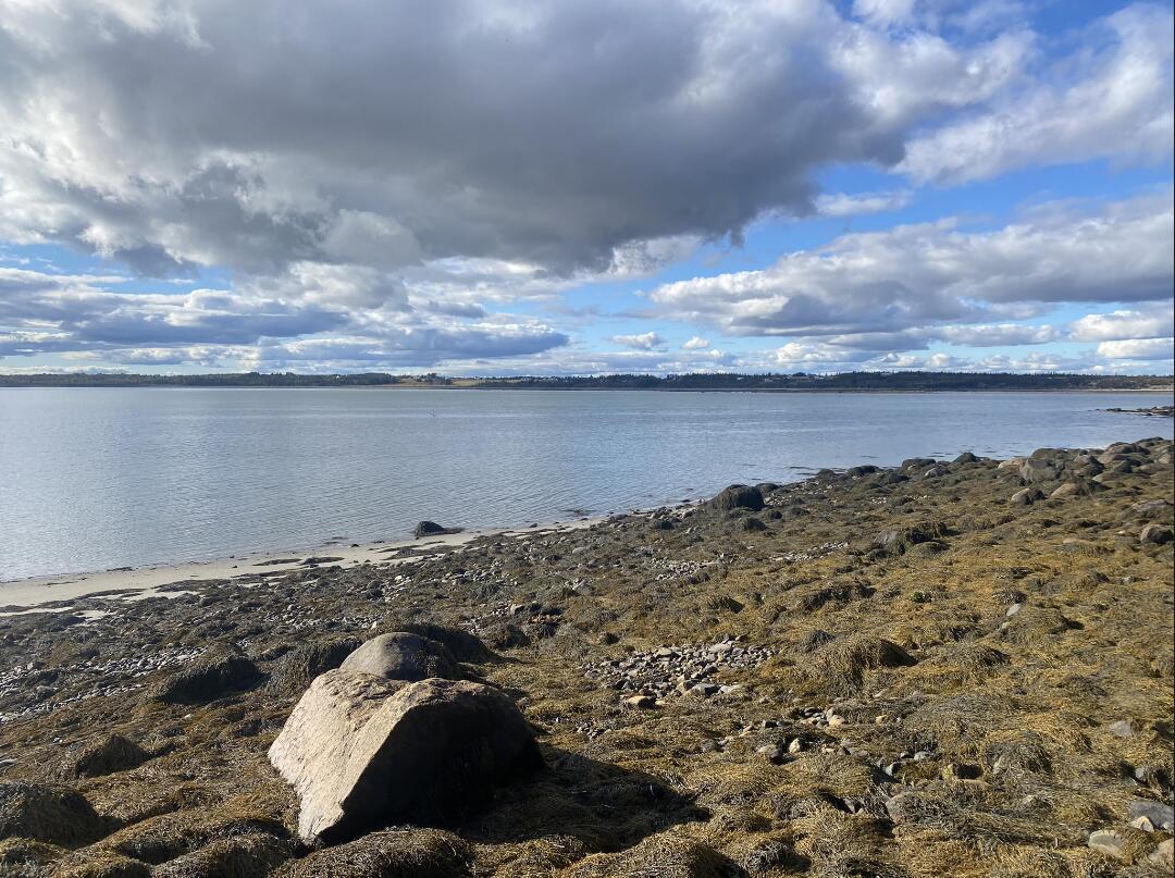 99 Little Machias Road Cutler ME 04626