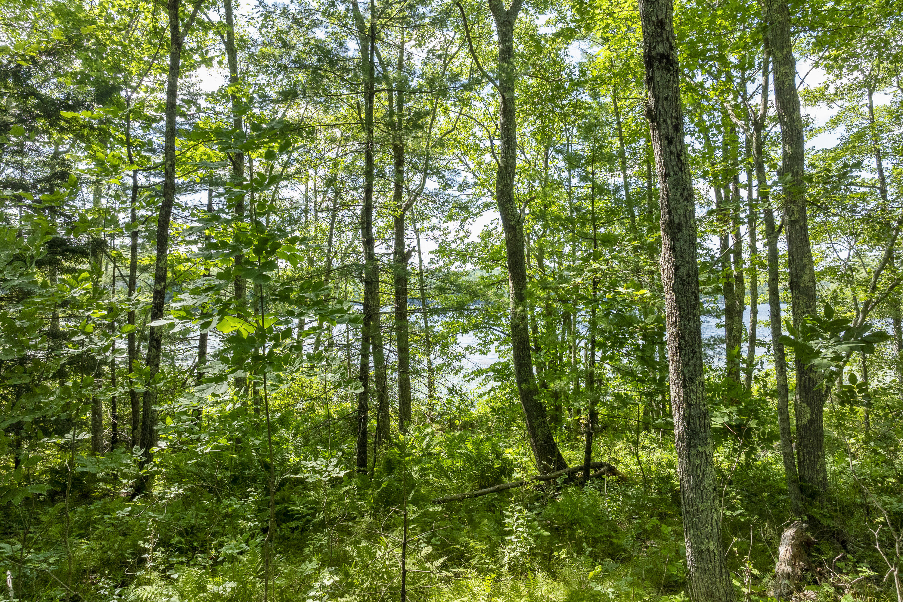 862 W Neck Road Nobleboro ME 04555