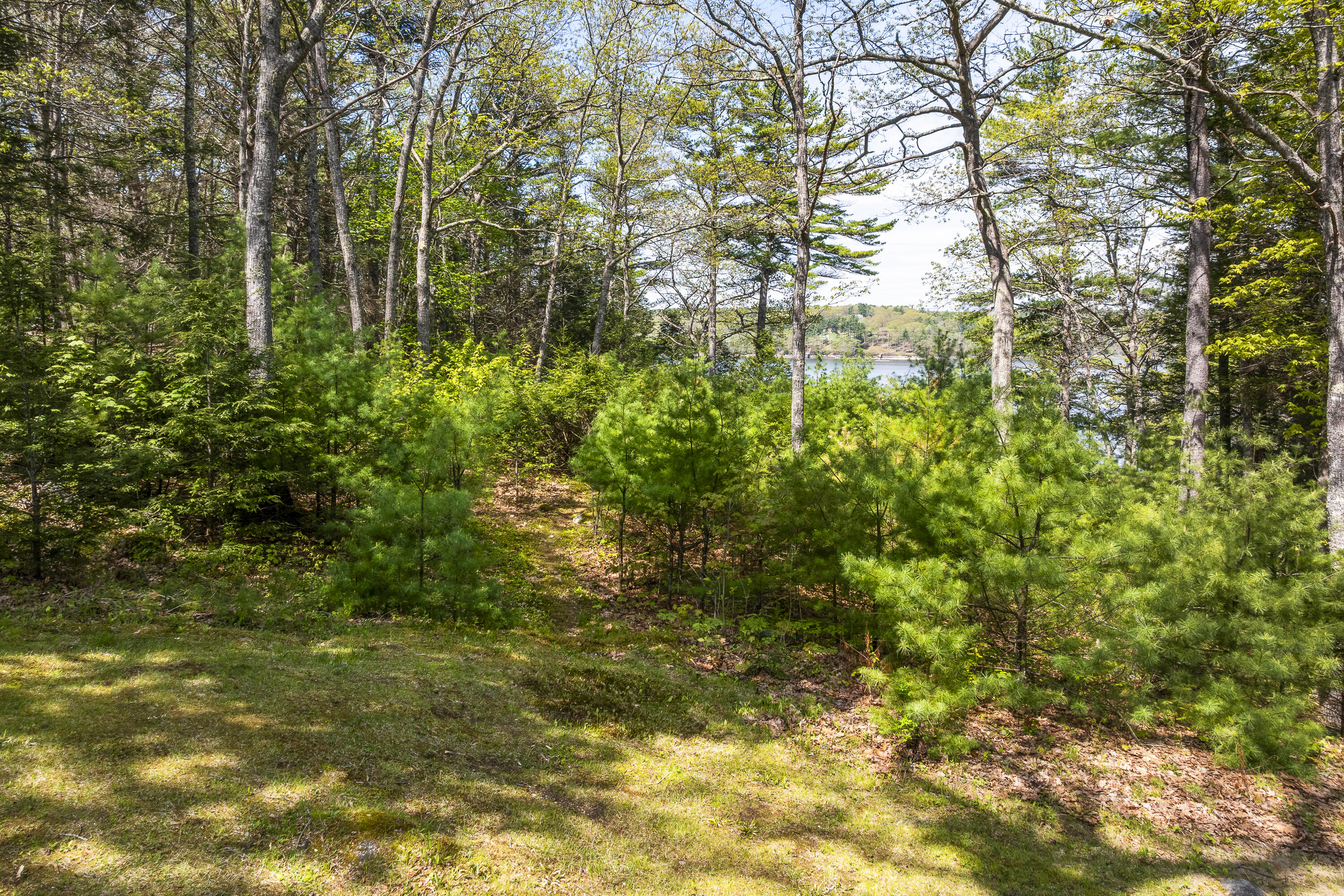31 Woodward Farm Road Bristol ME 04539