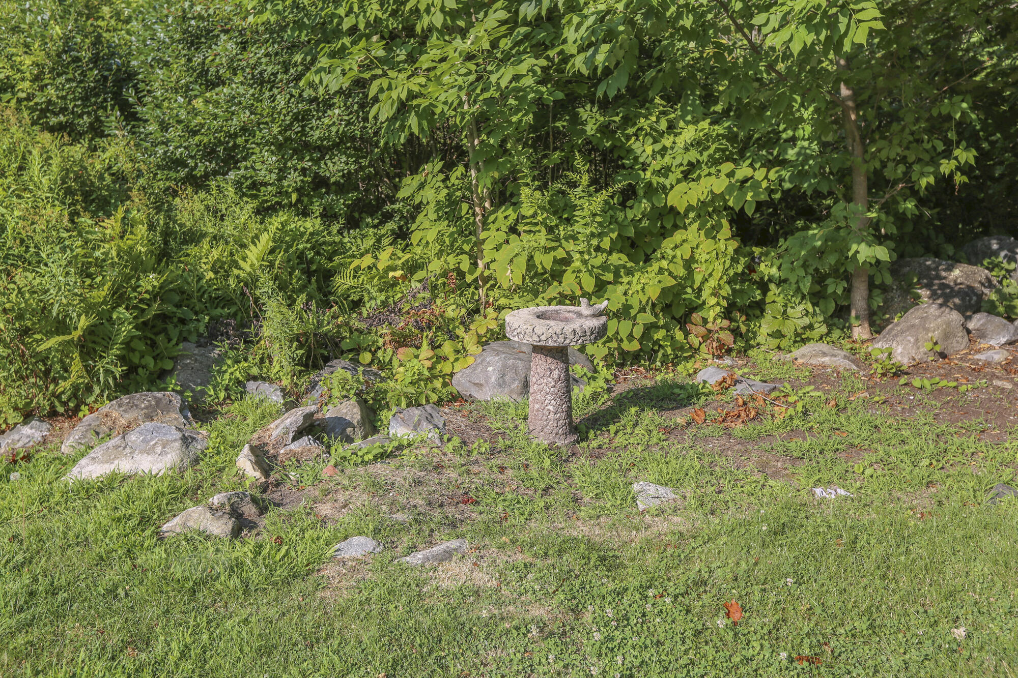 53 Lincolnville Avenue Belfast ME 04915