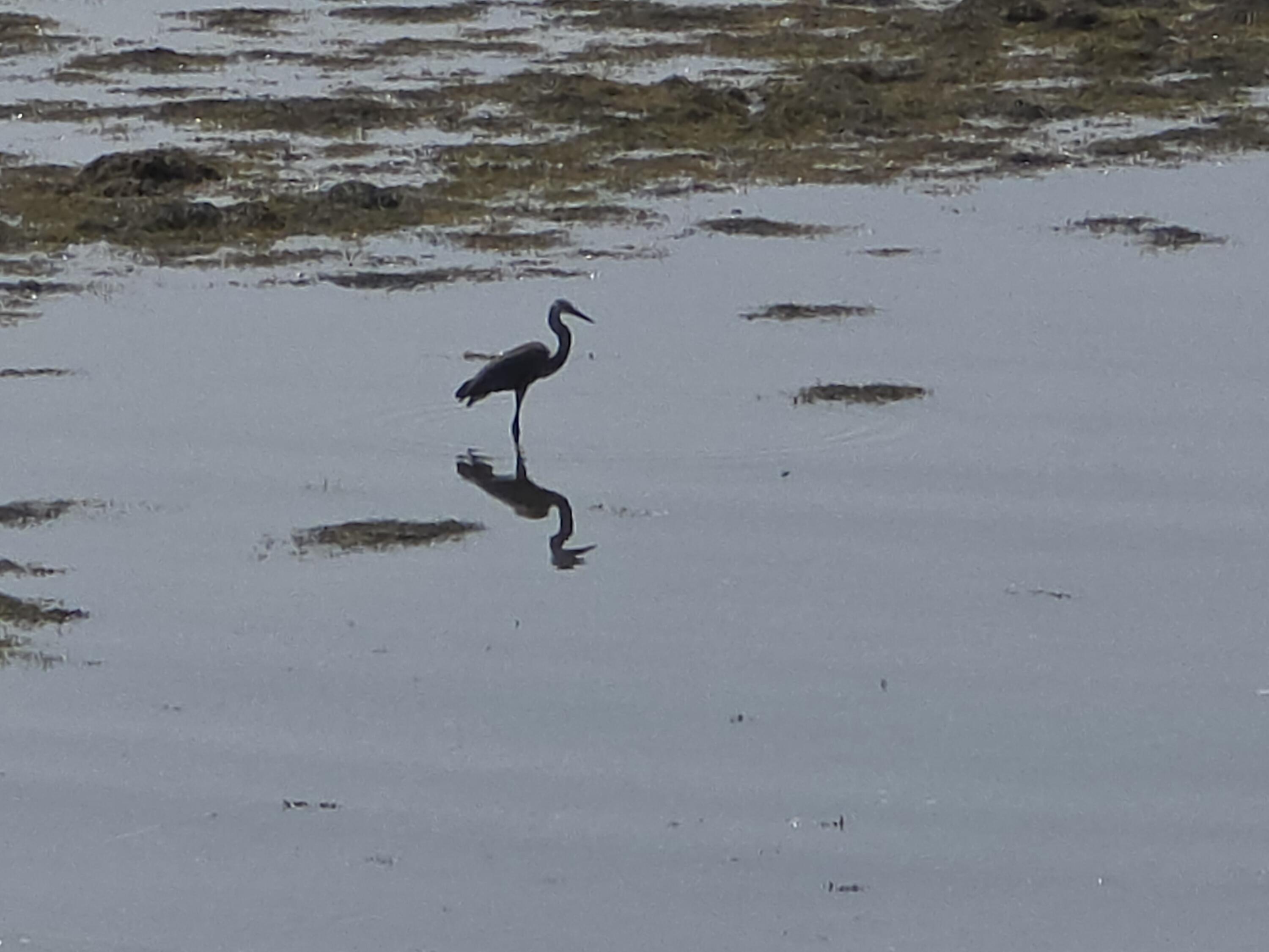 71 E Main Street Searsport ME 04974