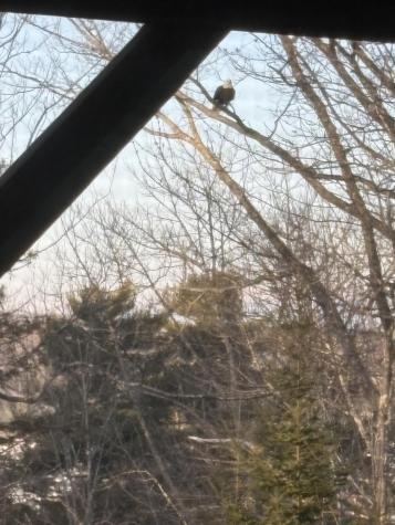 76 Kenney Drive Bucksport ME 04416