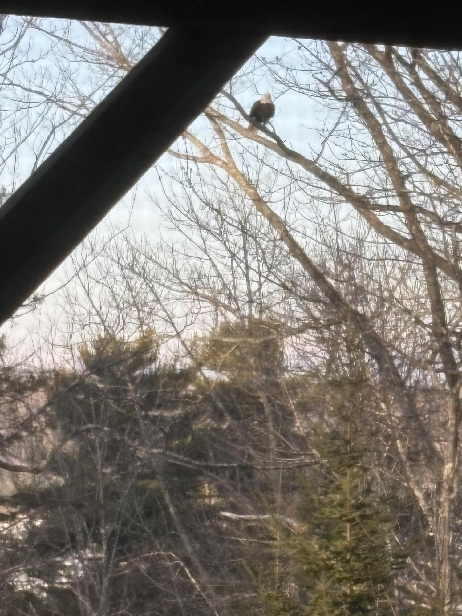 76 Kenney Drive Bucksport ME 04416