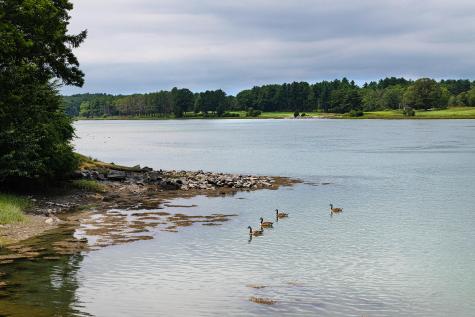 8 Old Seabury Road York ME 03909