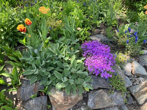 77 Pine Street South Portland ME 04106