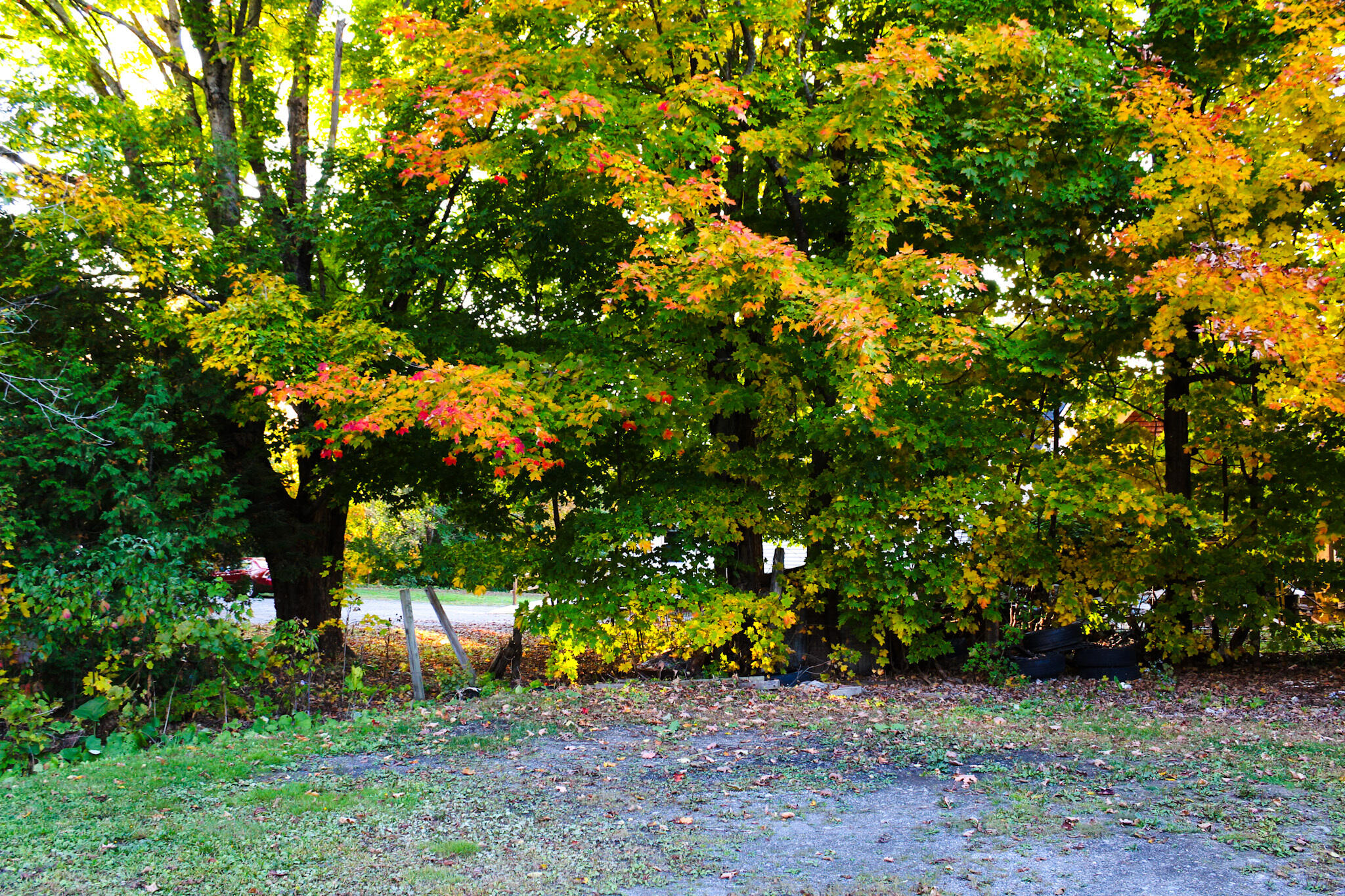 24 Elm Street Houlton ME 04730