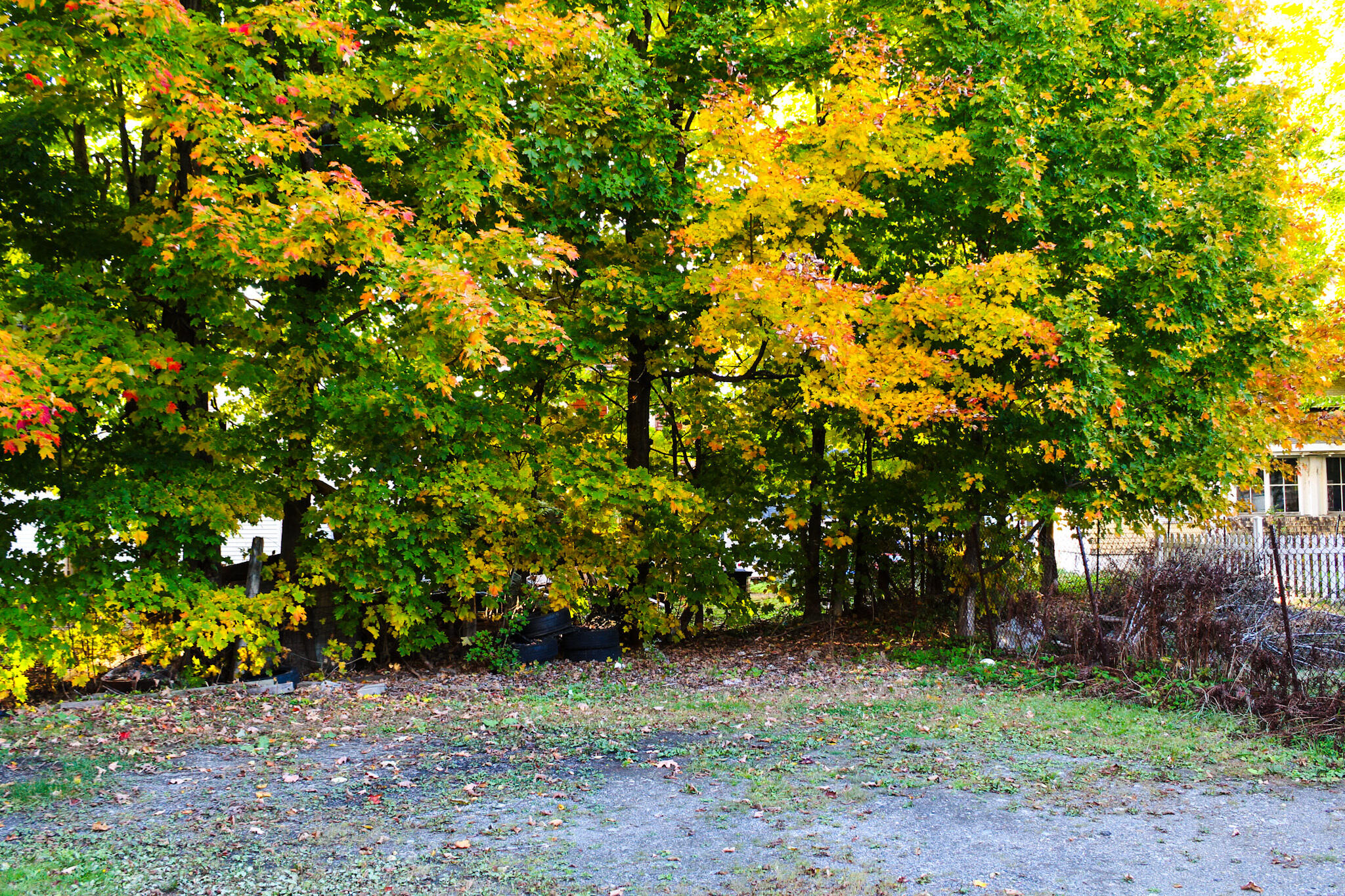 24 Elm Street Houlton ME 04730