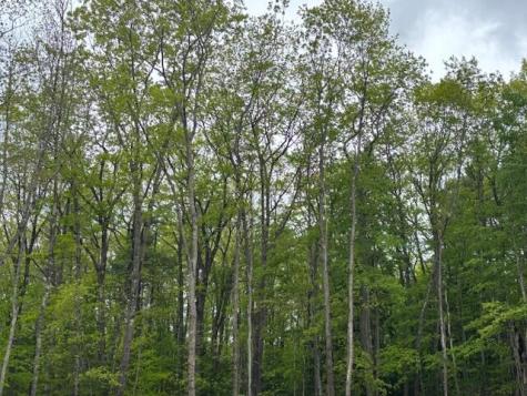 6 Justrite Way Poland ME 04274