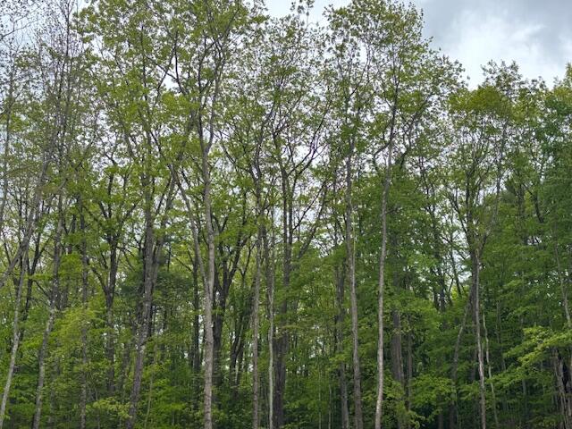 6 Justrite Way Poland ME 04274