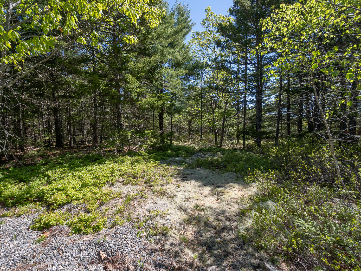 34 Rubys Ridge Road Bar Harbor ME 04609