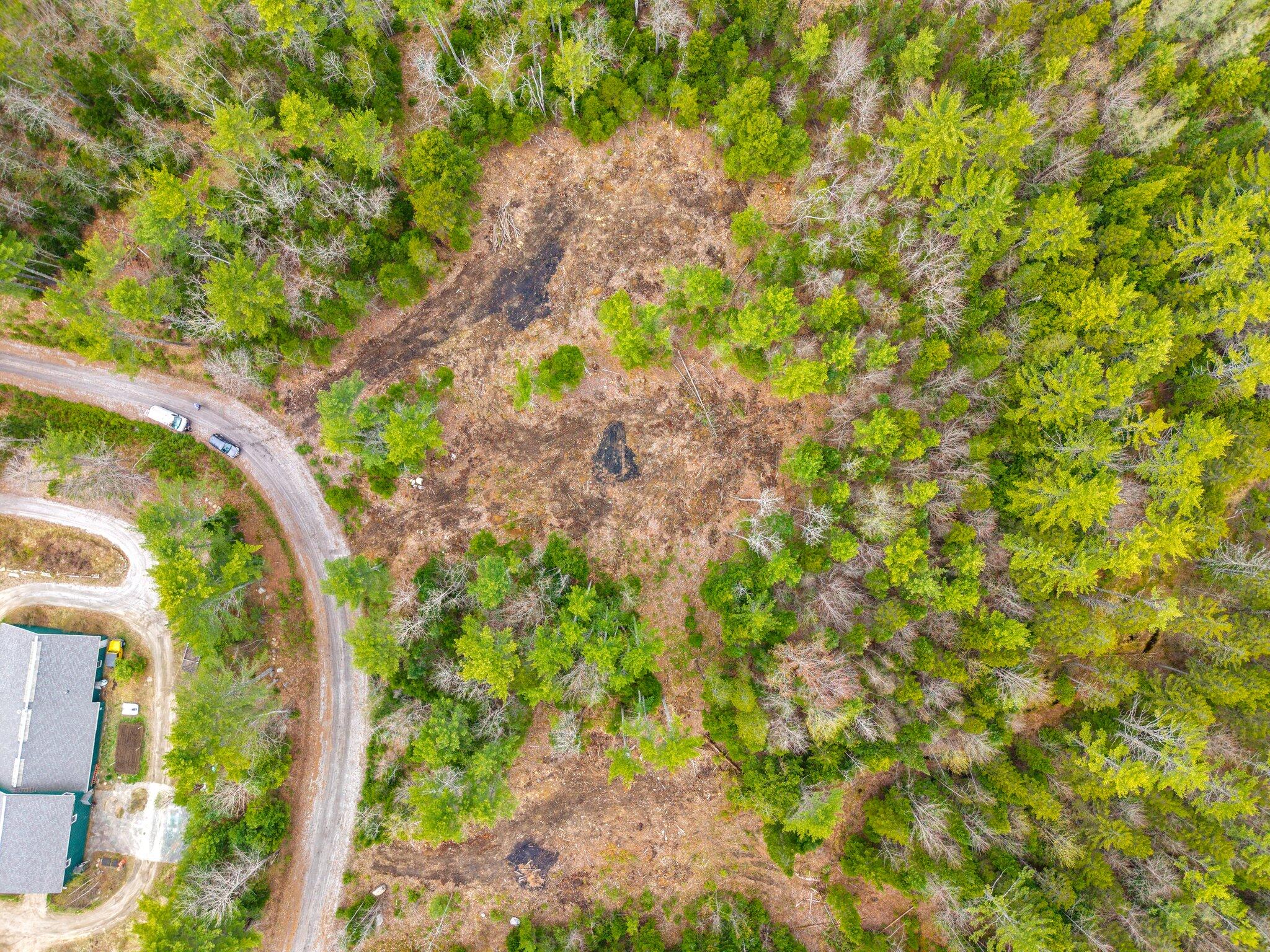 4 Forest Drive Albany Twp ME 04217