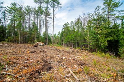 4 Forest Drive Albany Twp ME 04217