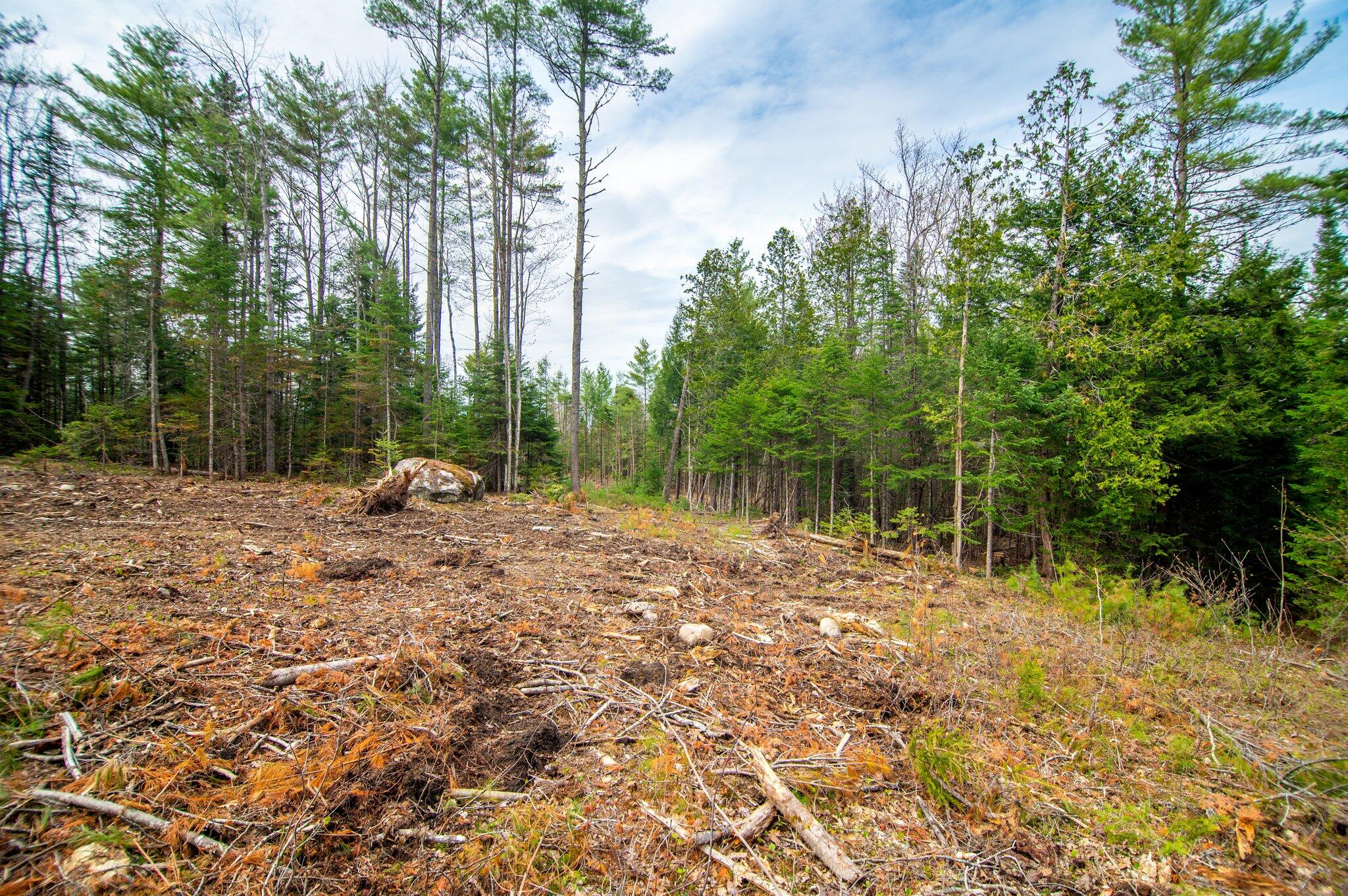 4 Forest Drive Albany Twp ME 04217