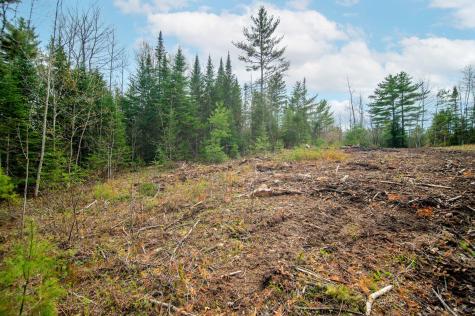 4 Forest Drive Albany Twp ME 04217