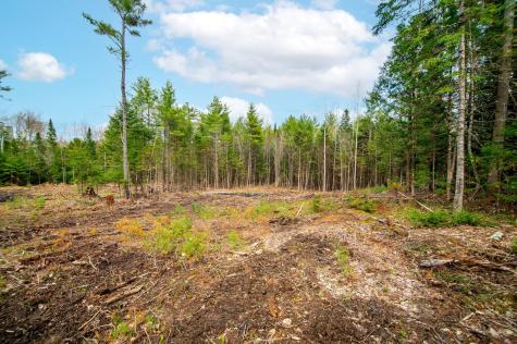 4 Forest Drive Albany Twp ME 04217