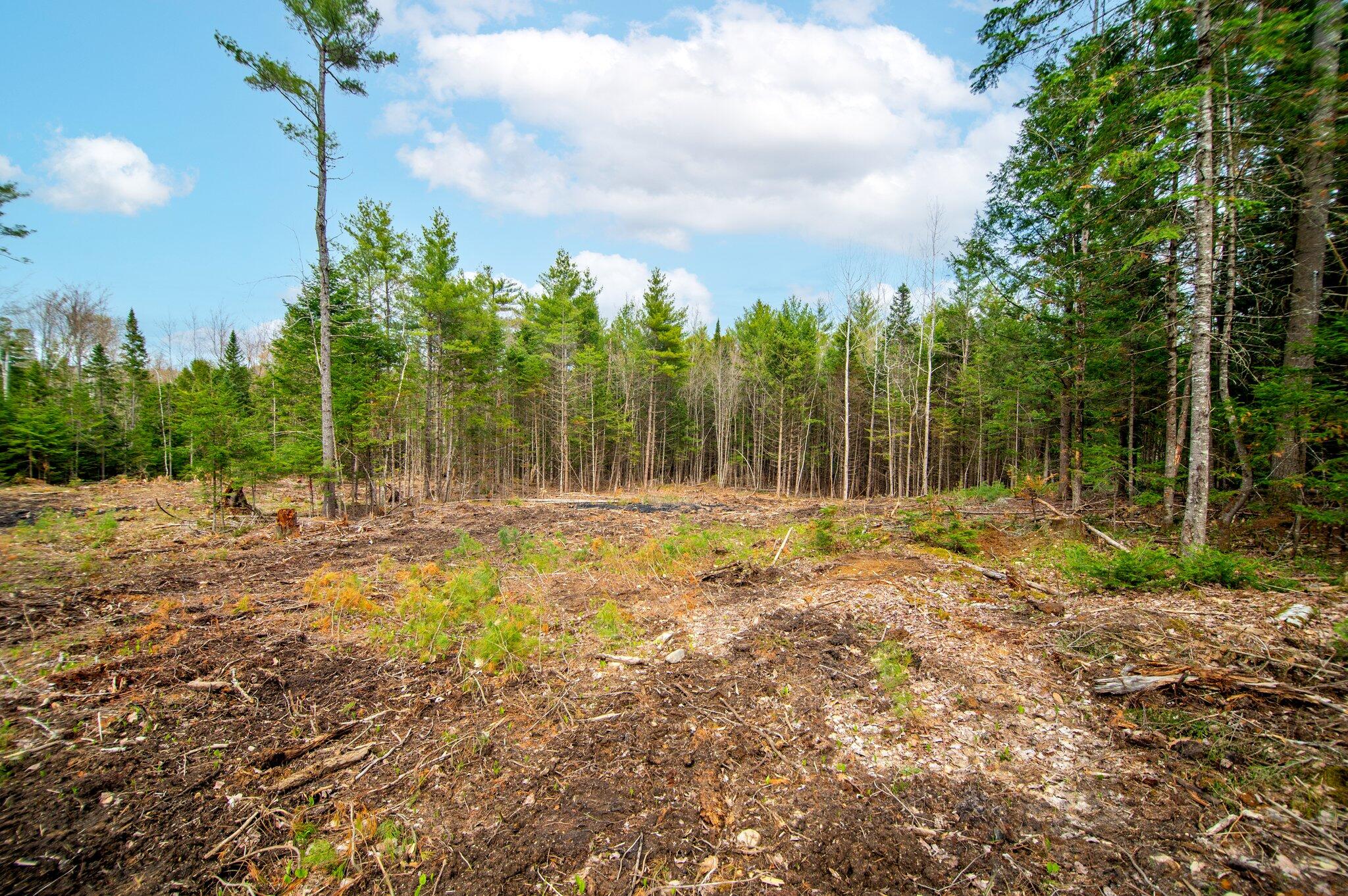 4 Forest Drive Albany Twp ME 04217