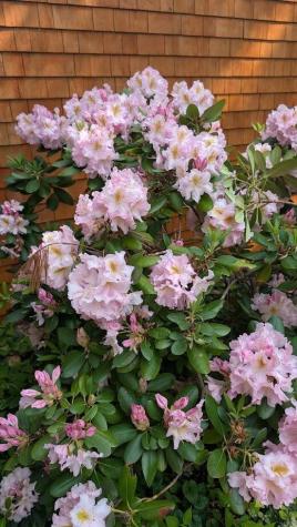 59 Webber Hill Road Kennebunk ME 04043