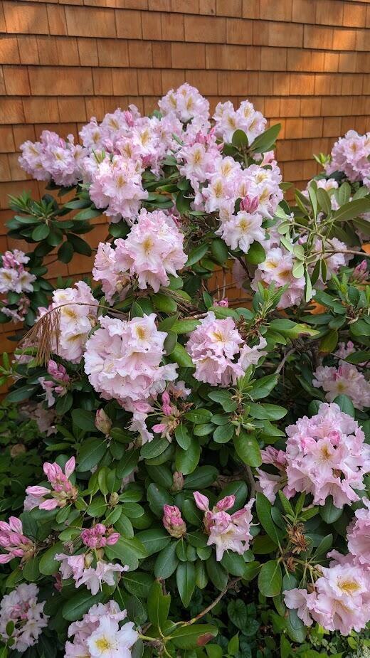 59 Webber Hill Road Kennebunk ME 04043