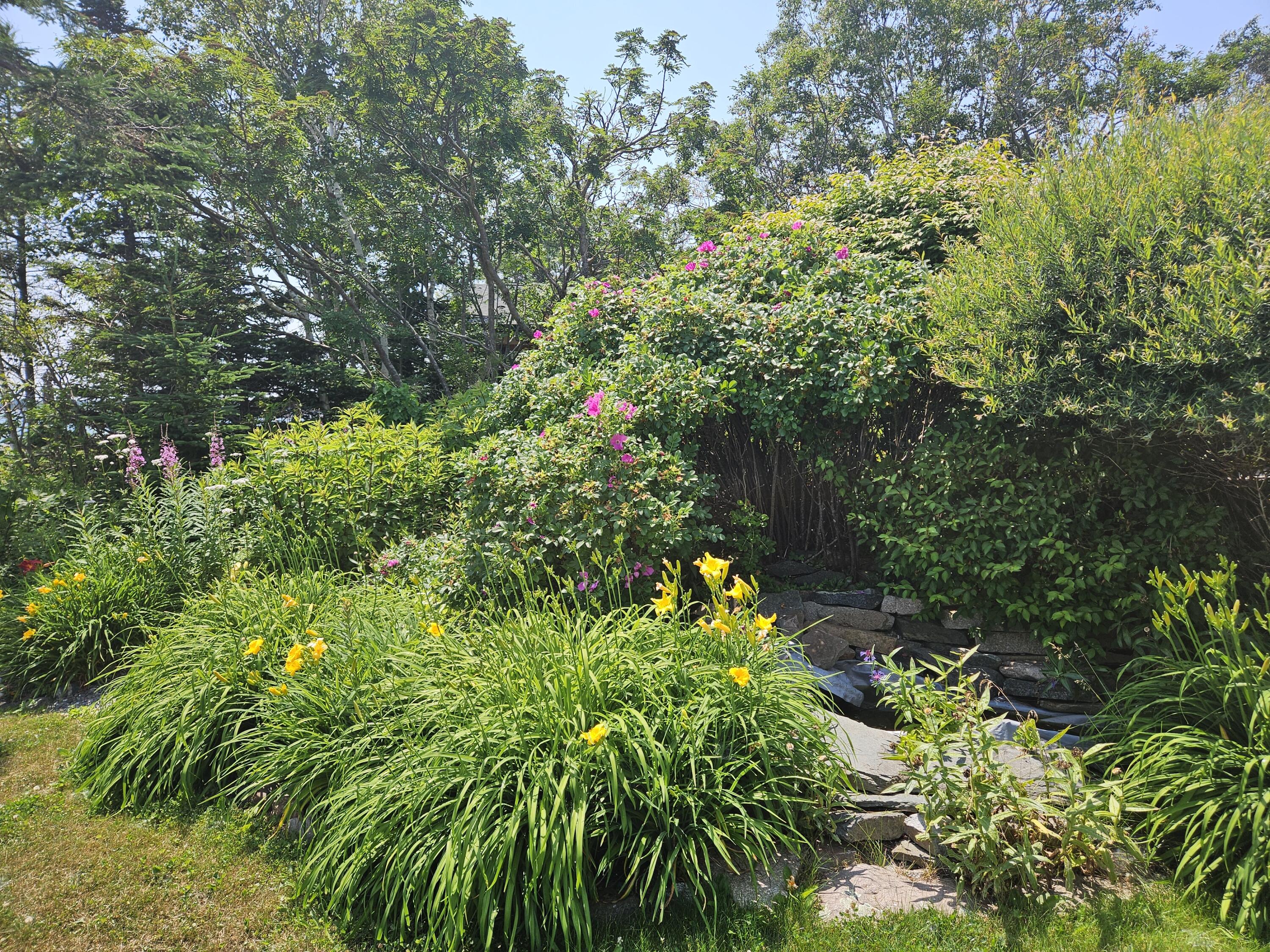 541 Mason Bay Road Jonesport ME 04649