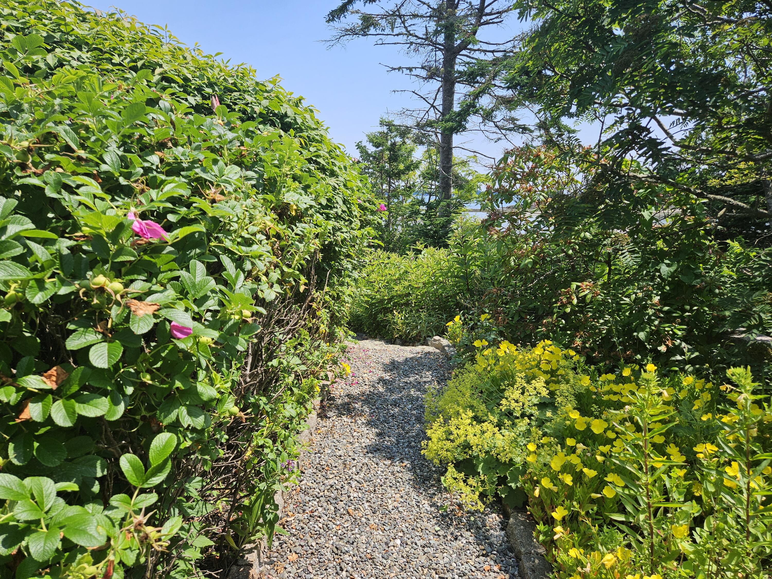 541 Mason Bay Road Jonesport ME 04649