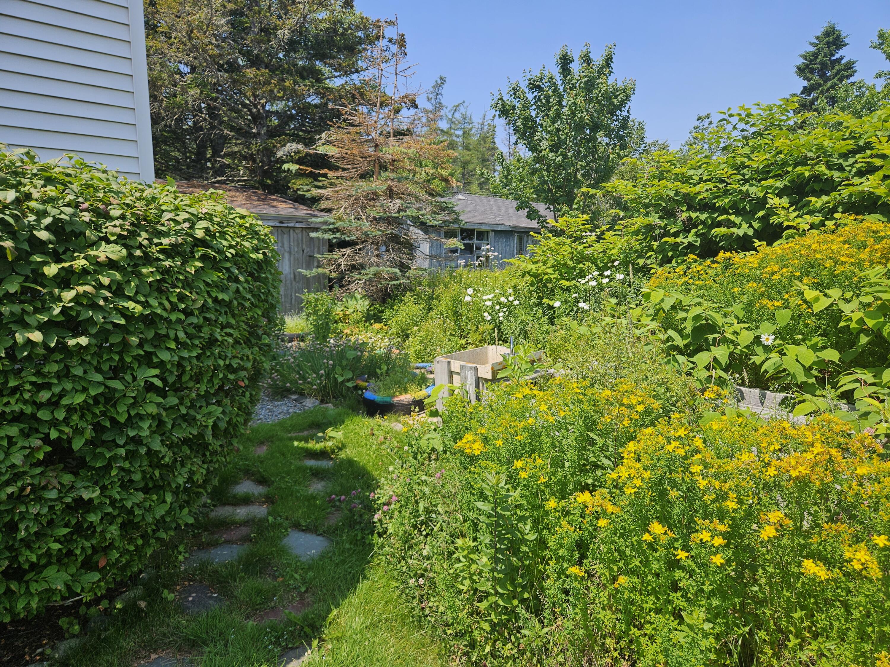 541 Mason Bay Road Jonesport ME 04649