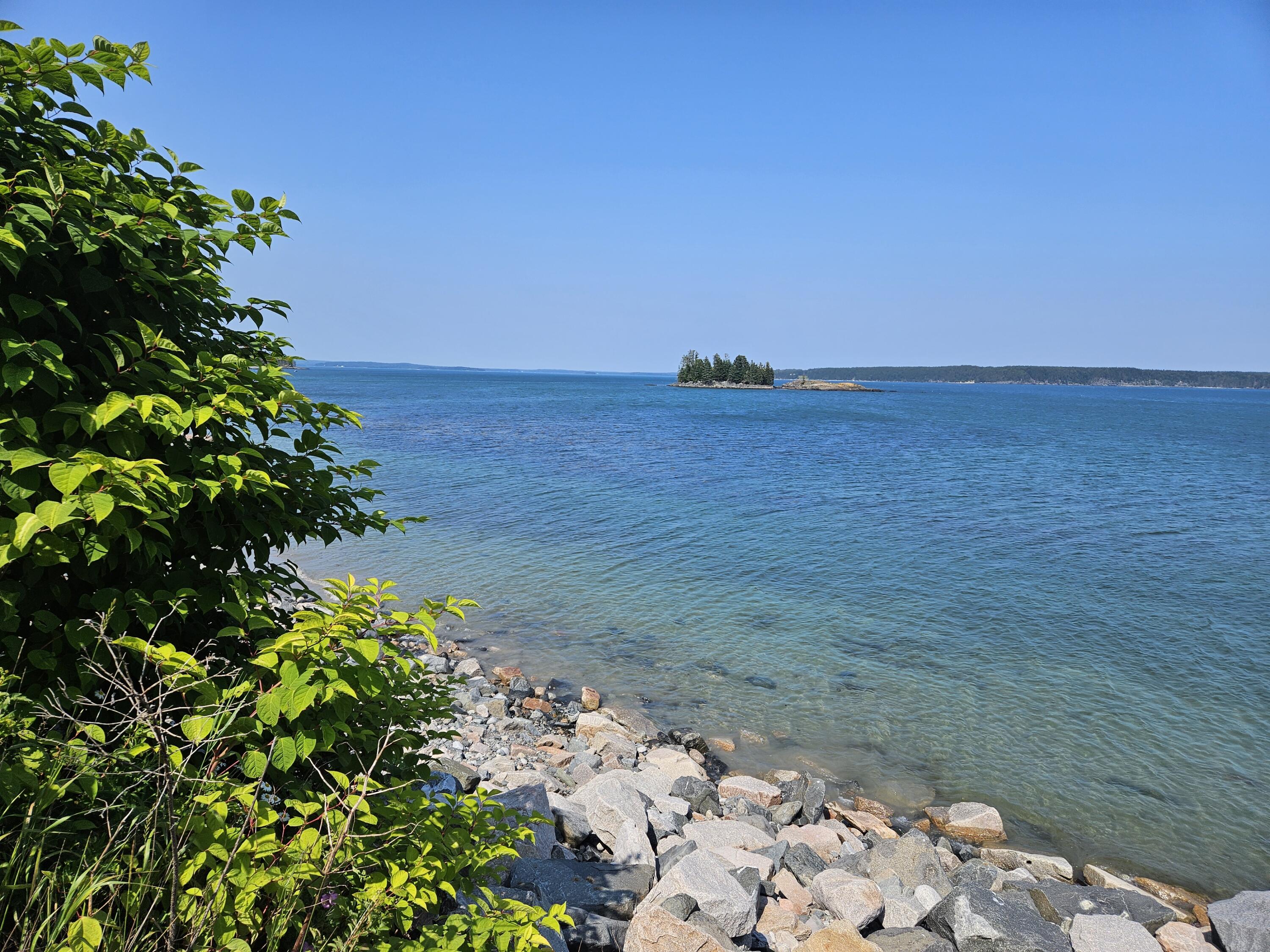 541 Mason Bay Road Jonesport ME 04649