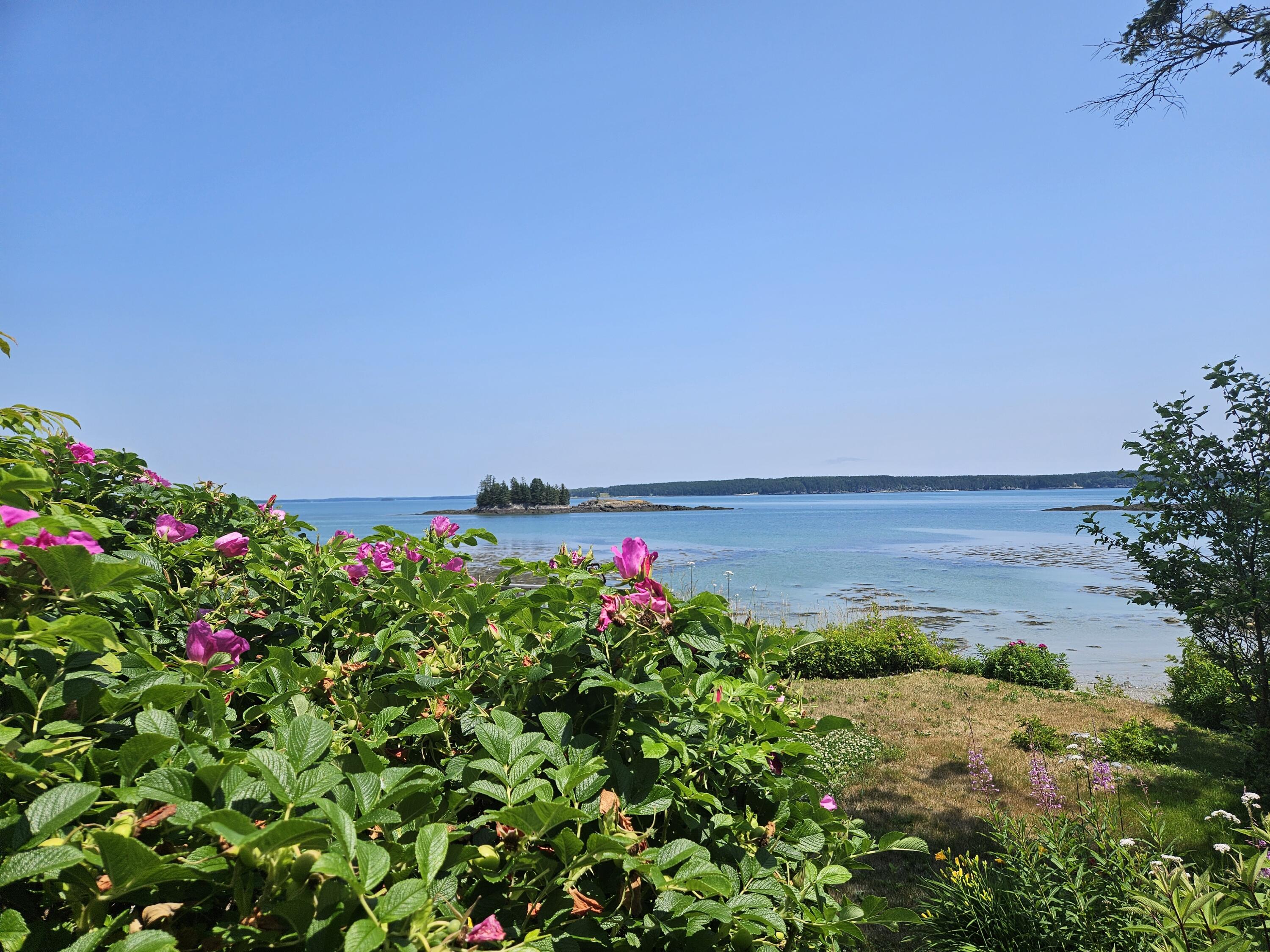 541 Mason Bay Road Jonesport ME 04649