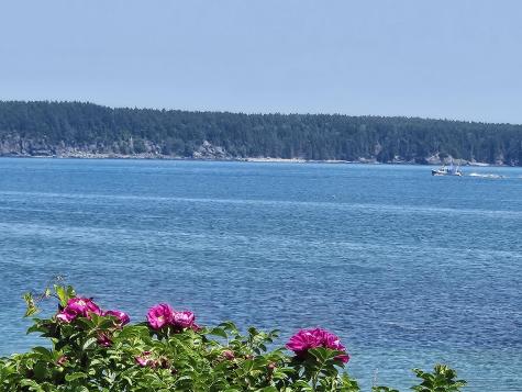 541 Mason Bay Road Jonesport ME 04649