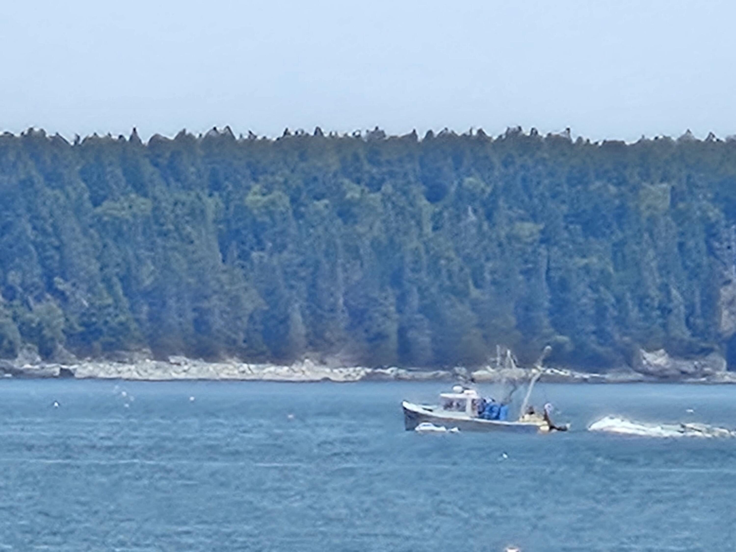 541 Mason Bay Road Jonesport ME 04649