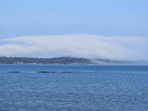 541 Mason Bay Road Jonesport ME 04649