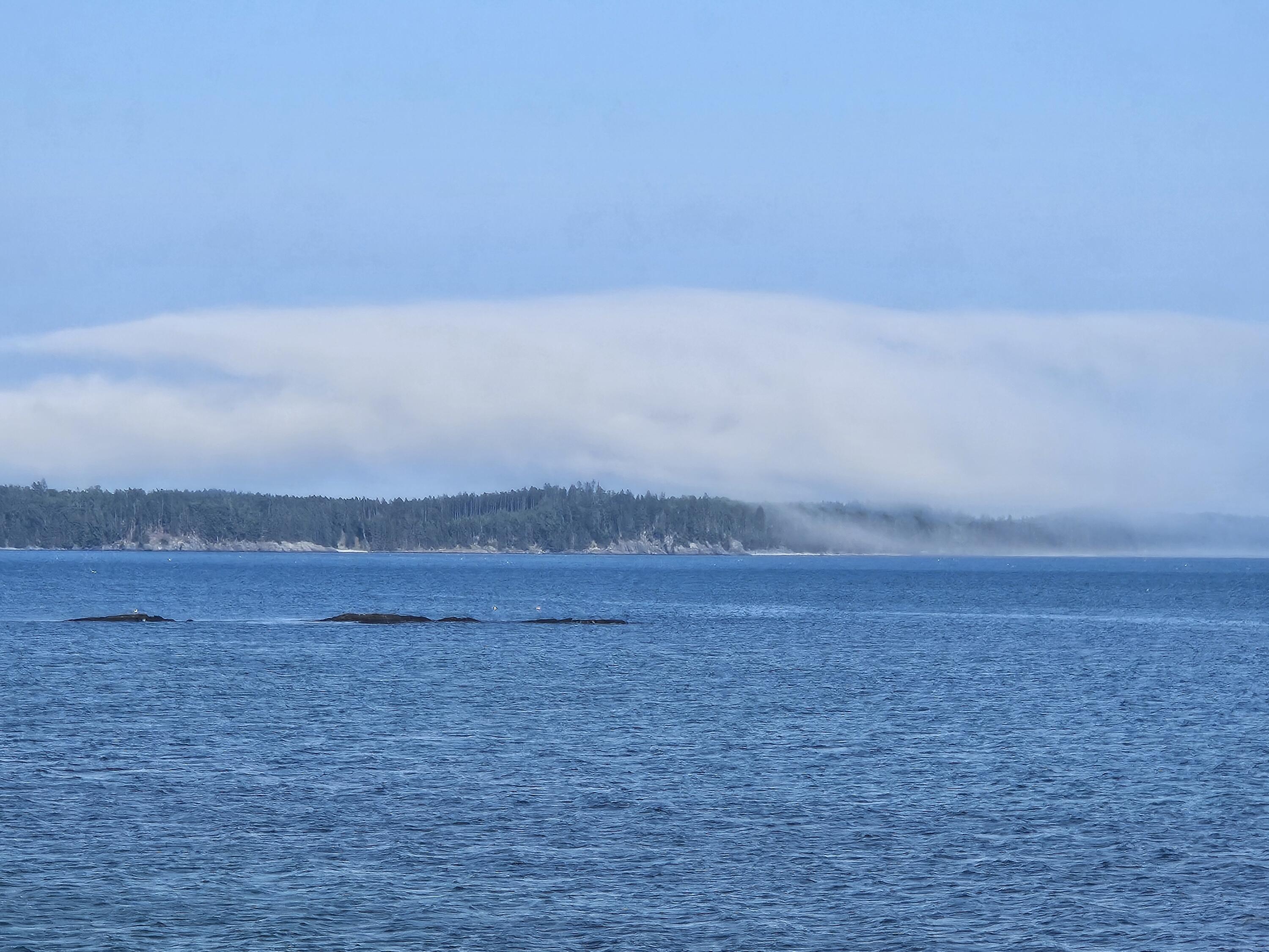 541 Mason Bay Road Jonesport ME 04649