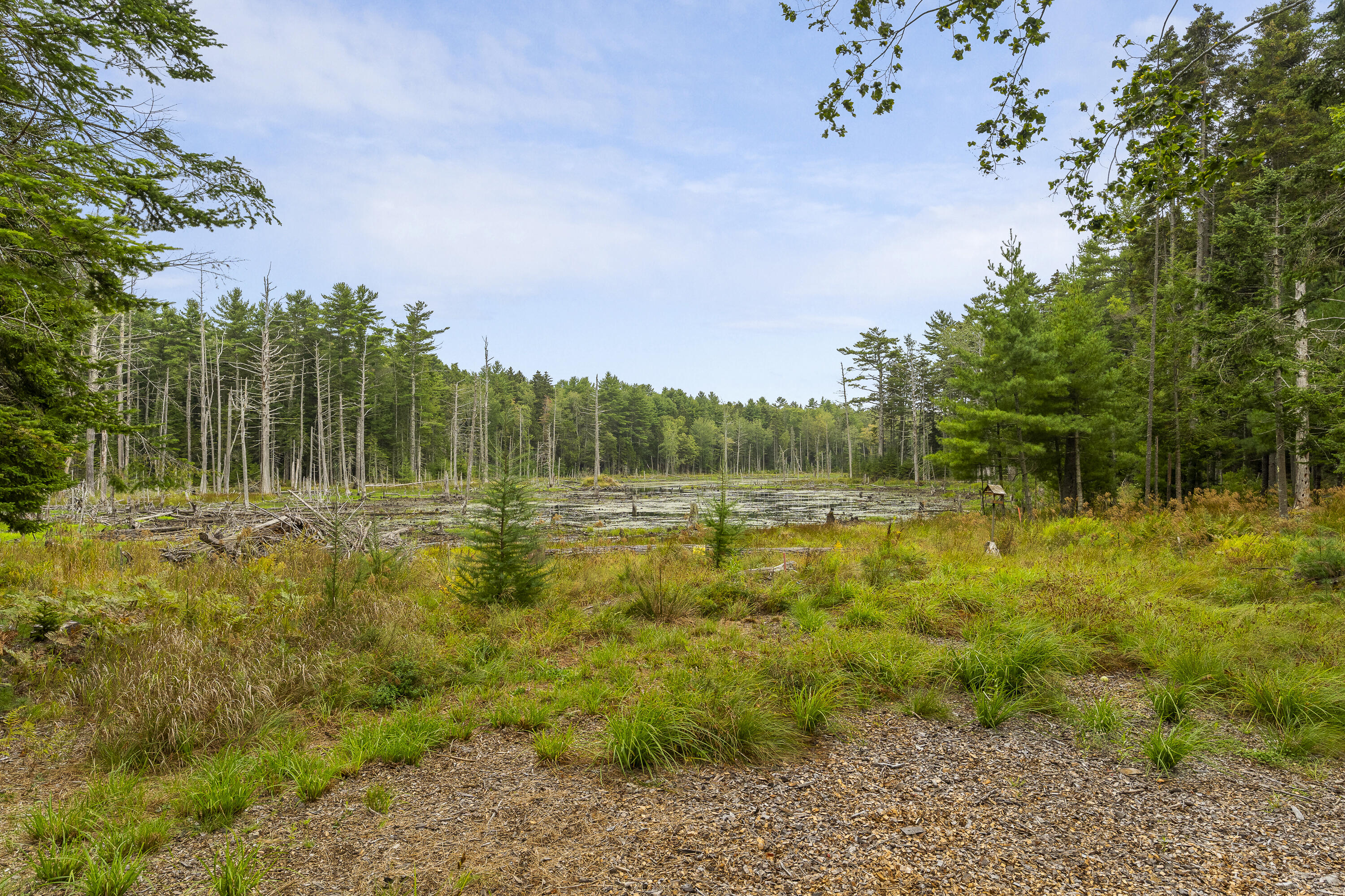 27 Doggett Road Westport Island ME 04578